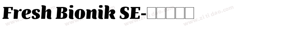 Fresh Bionik SE字体转换